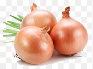 Free Onion Transparent Background Download Free Clip Art - Onion Png Emoji,Onion Emoji