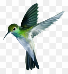 Hummingbird Art Png Picture - Png Hummingbird Emoji,Hummingbird Emoji