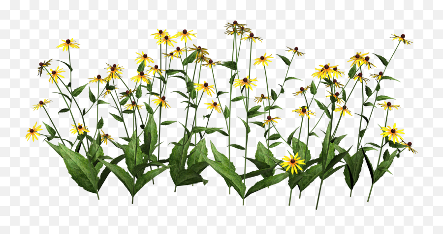 June Clipart 7 Png - Clipartix Flower Plants Transparent Background Emoji,Emoji For Galaxy S4