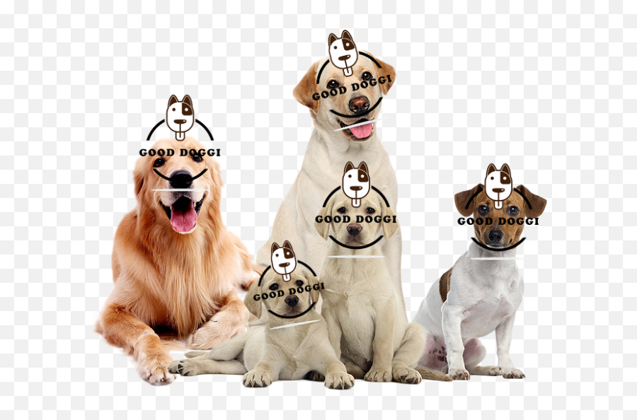 Dog Products Dog Accessories Online Shop - Dog Emoji,Golden Retriever Emoji