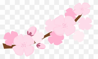 Flowers Png Tumblr Cherry Blossom Emoji - Japanese Cherry Blossom Clipart,Cherry Blossom Emoji