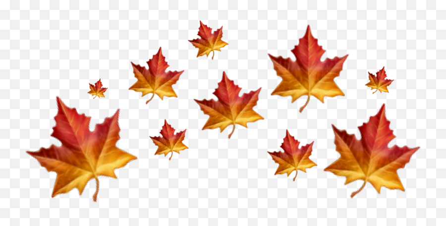 Emojicrown Sticker - Lovely Emoji,Autumn Leaf Emoji