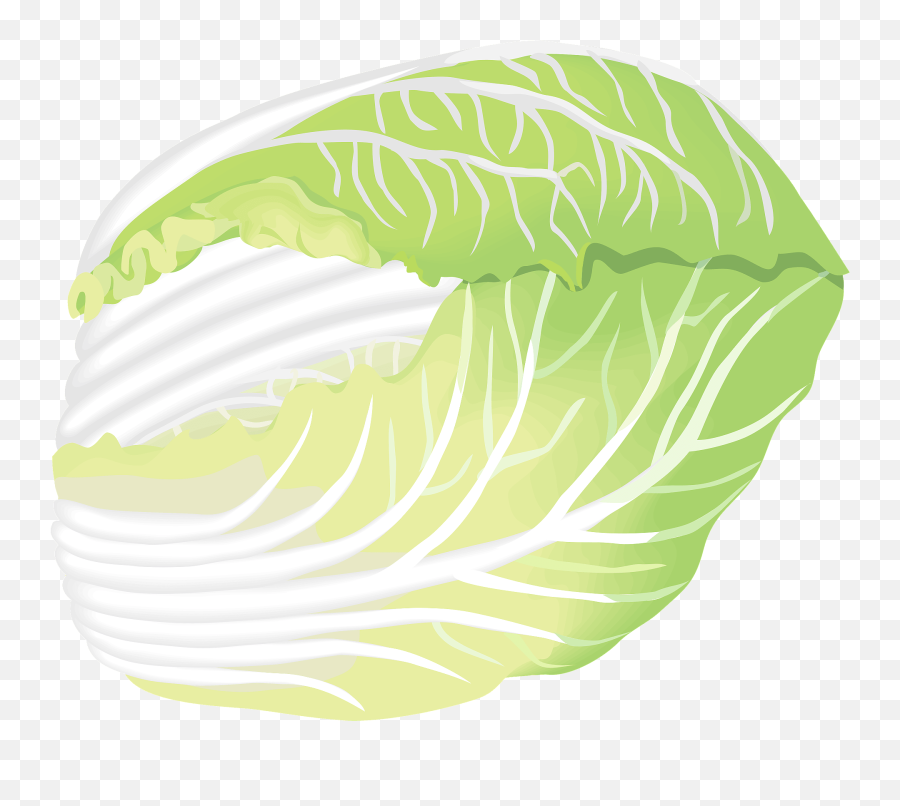 Napa Cabbage Clipart - Fresh Emoji,Cabbage Emoji