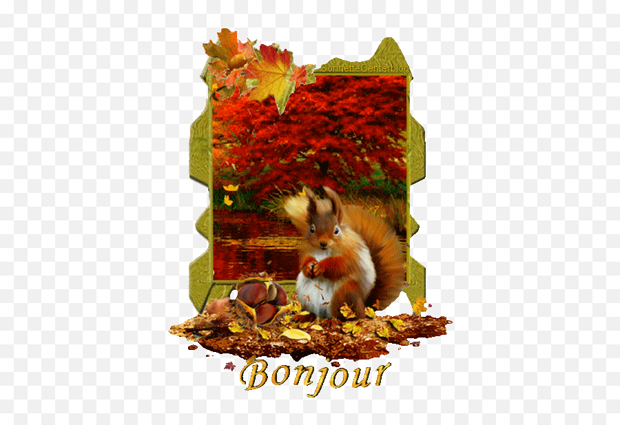 Nos Amis Les Animaux - Page 116 Loisirs Discussions Gif Animé Bonjour Automne Emoji,Emoticoner