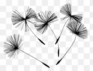 6 Free Pollen Bee Images - Holistic Health Clip Art Black And White Emoji