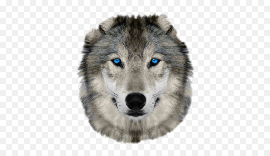 Wolf Face - Wolf Face Png Emoji,Wolf Face Emoji