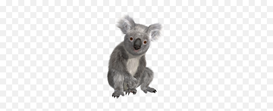 Koala Png And Vectors For Free Download - Koala Png Transparent Emoji,Koala Bear Emoji