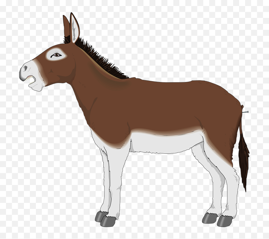 Png Mule Transparent Mule - Mule Clipart Emoji,Mule Emoji