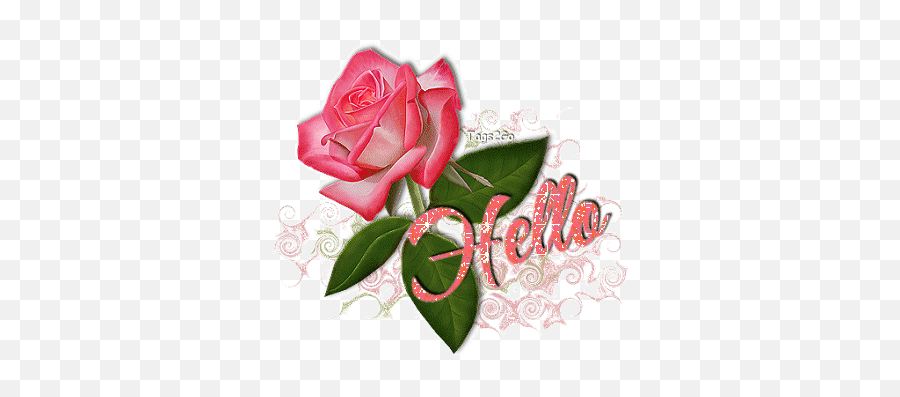 Y4j6sdeulsqvzabh7lgrjpct0 - Greetings Gif Emoji,Pink Rose Emoji