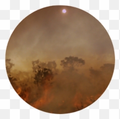 Fire Bushfire Wildfire Brown Hot Smoke - Circle Emoji