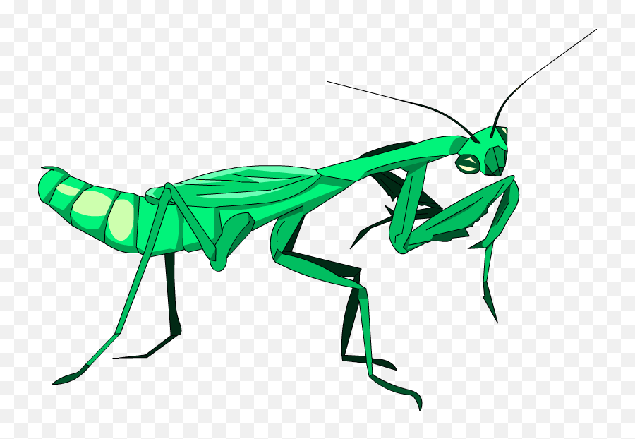 Grasshopper Clipart Praying Mantis - Mantidae Emoji,Praying Mantis Emoji
