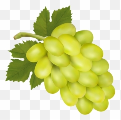 Grapes clipart leaves Transparent FREE for - Yellow Clipart Emoji