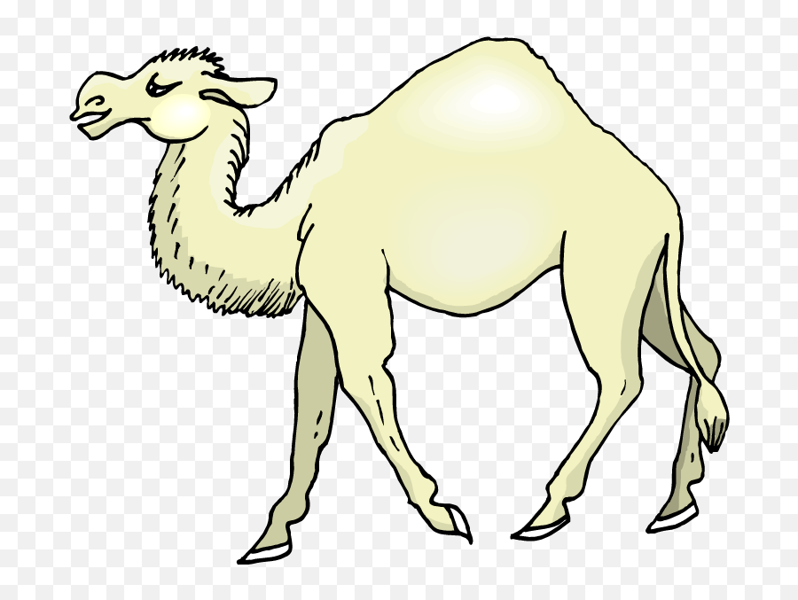 Camel Clipart Png - Nativity Clipart Camel Gif Clip Art Cartoon Camel Drawing Emoji,Humping Emoji