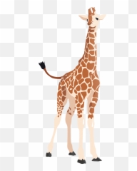 Vector Giraffe Flat Transparent U0026 Png Clipart Free Download - Cartoon Transparent Giraffe Emoji,Giraffe Emoji.com