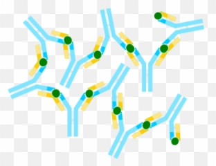 Antigen - Antibodies And Antigens Png Emoji,Cricket Emoji