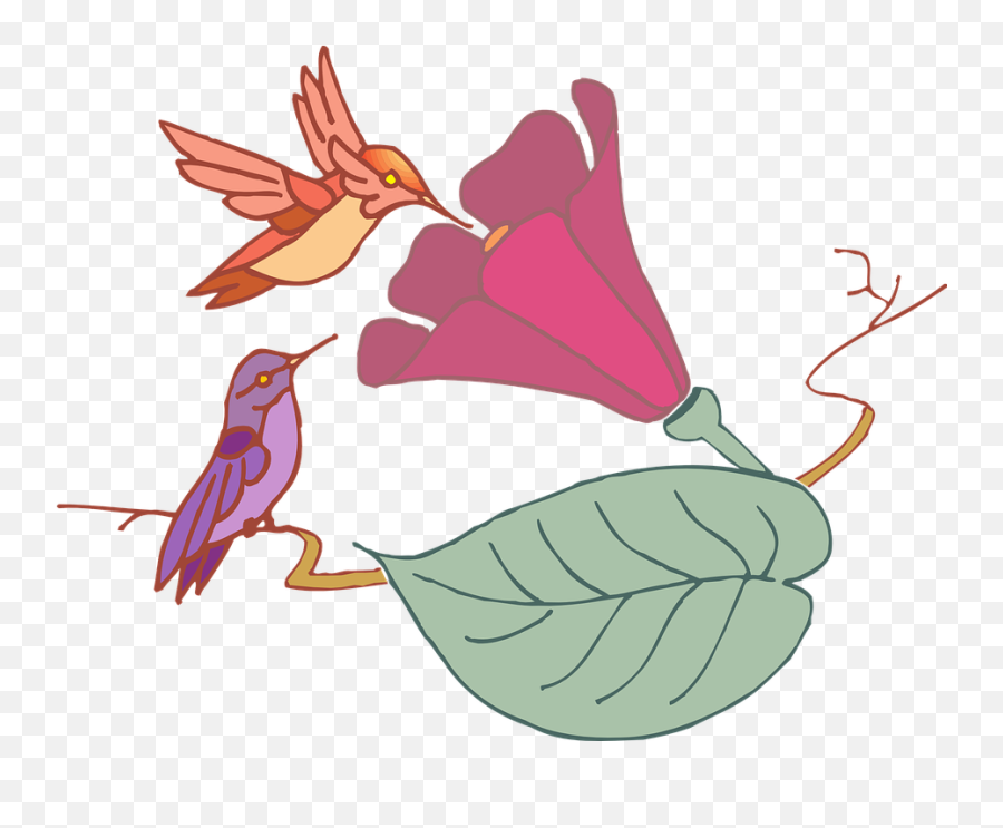 Free Hummingbird Bird Illustrations - Burung Di Bunga Animasi Emoji,Hummingbird Emoticon