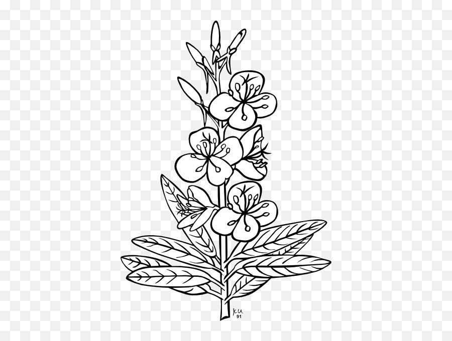 Wilting Flower Clipart Png 50 Big Photos Free Wfcp - Outline Pictures Of Flowers Emoji,Wilted Rose Emoji