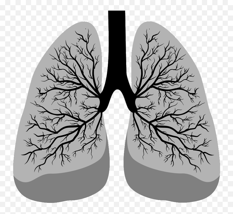 Chazzedlungs - Discord Emoji Lungs Logo Black And White,Foot Emoji