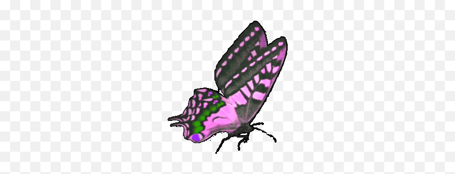Butterfly - Papilio Machaon Emoji,Butterfly Emoticon