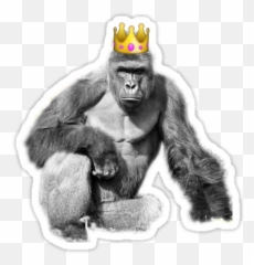 Picture - Kid Who Fell Into Gorilla Cage Emoji