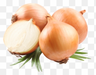 Download Free Onion Png Image Icon Favicon - Onion Png Emoji,Onion Emoji
