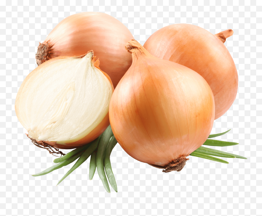 Download Free Onion Png Image Icon Favicon - Onion Png Emoji,Onion Emoji