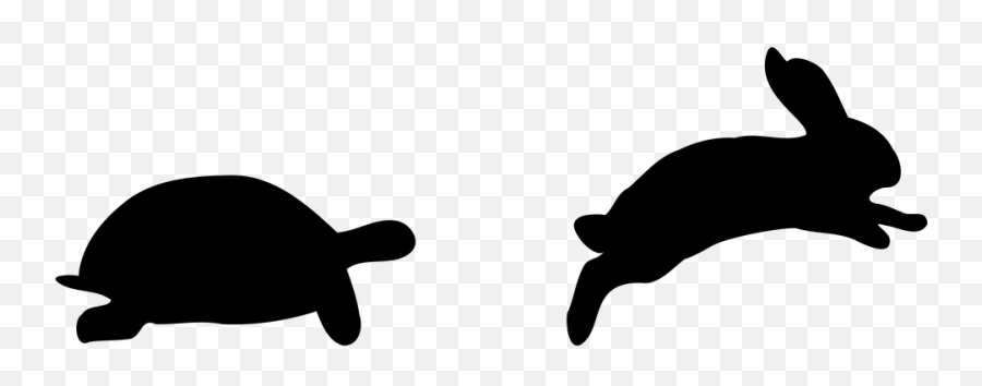 2017 - Tortoise And Hare Png Emoji,Magnifying Glass Fish Emoji