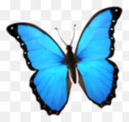 The Newest Emojiphone Stickers On Picsart - Butterfly Emoji Transparent Background,Emojios