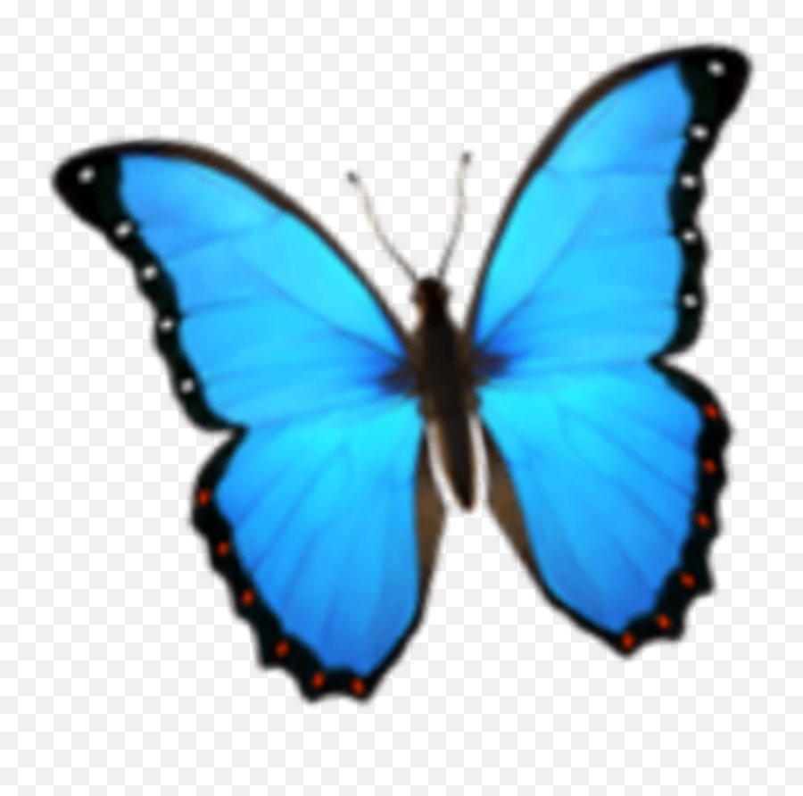 The Newest Emojiphone Stickers On Picsart - Butterfly Emoji Transparent Background,Emojios