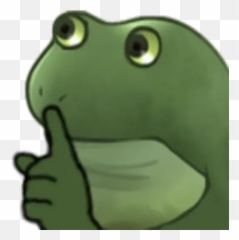 Frog 10 Whatsapp Stickers - Stickers Cloud True Frog Emoji,Emoji Frog