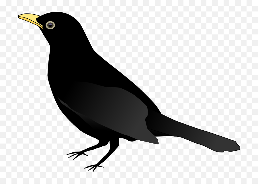A Black Bird Clip Art - Black Bird Clipart Emoji,Black Bird Emoji