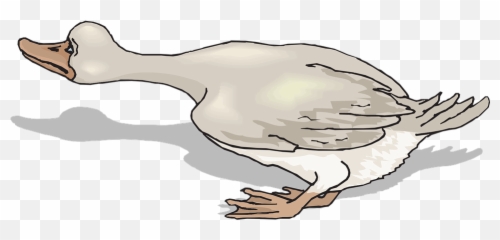 Free Scared Fear Vectors - Duck Png Emoji