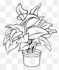 Pot Plant Drawing - Potted Clip Art Black And White Emoji