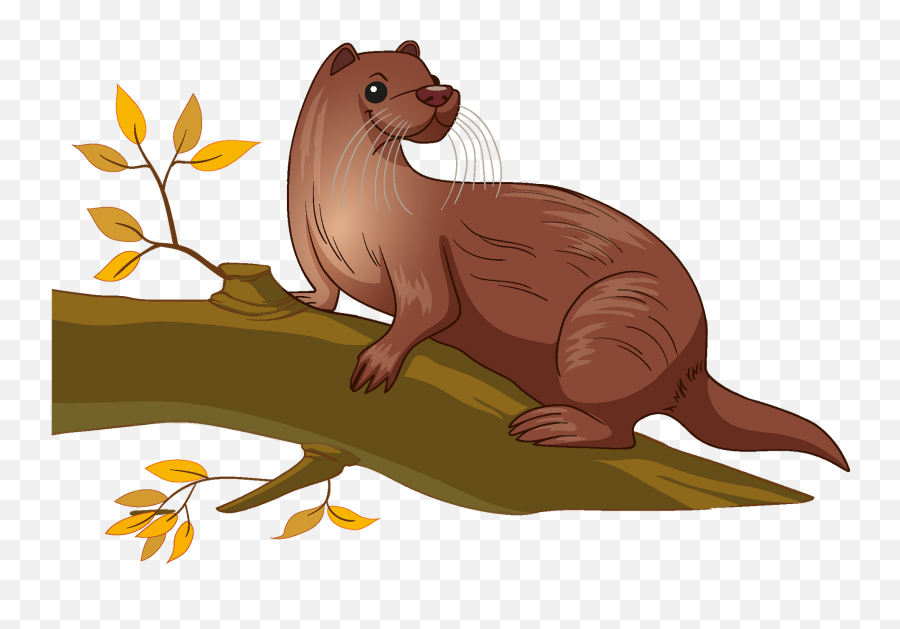 Otter Clipart - Otter Images Clip Art Emoji,Otter Emoji