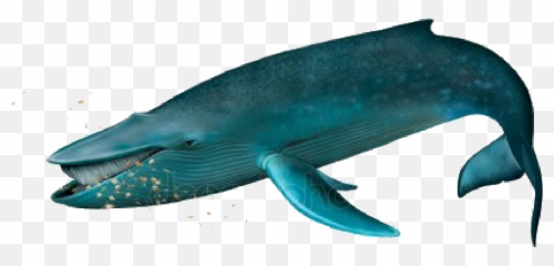 Blue Whale Sticker - Emoji