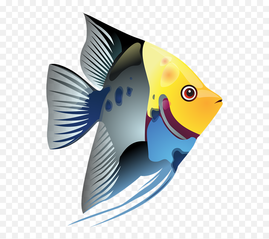 Free Tropical Fish Vectors - Transparent Background Fish Clipart Emoji,Raspberry Emoticon