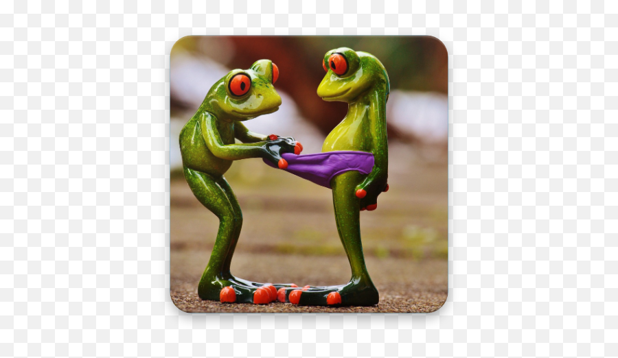 Funny Stickers - Cute Red Eyed Tree Frog Emoji,Dirty Messenger Emoticons