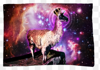 King Llama Zip - Up Hoodie Wall Art Prints Poster Prints Lama Hoodie Emoji,Llama Emoji