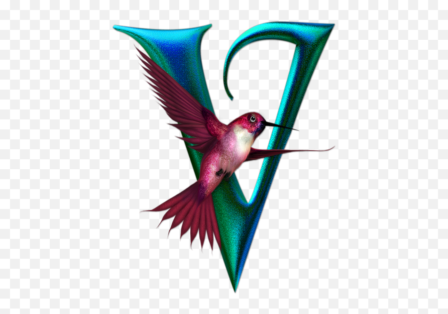 Buchstabe - Abecedario De Colibrí Hummingbird Alphabet Letra N Emoji,Hummingbird Emoji