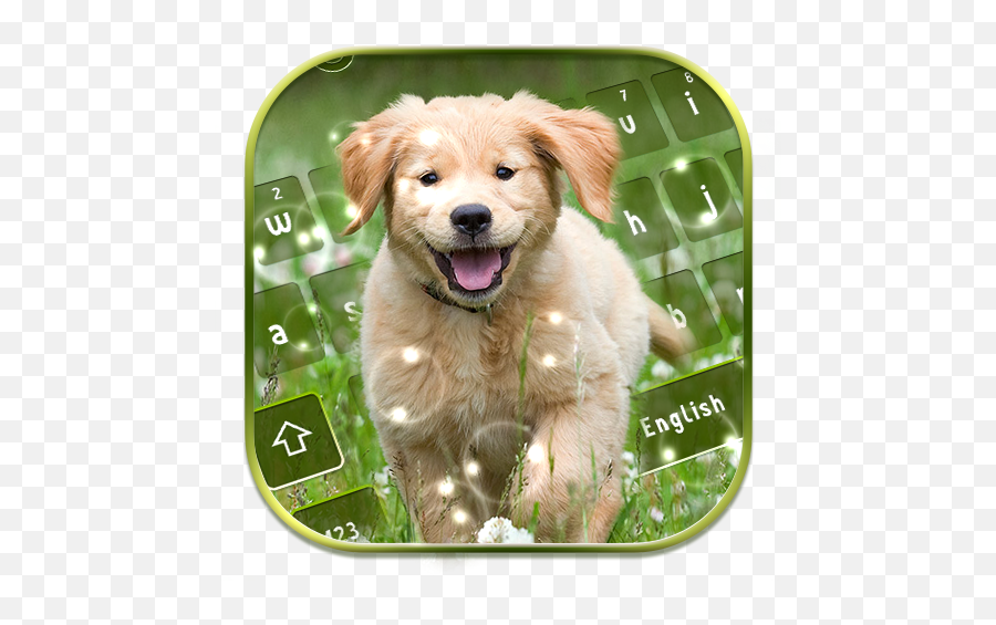 Google Play U2013 Cute Puppy Love Keyboard Theme - Golden Retriever Emoji,Golden Retriever Emoji
