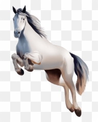 Irish Sport Horse clipart Free download transparent PNG - Animal Figure Emoji