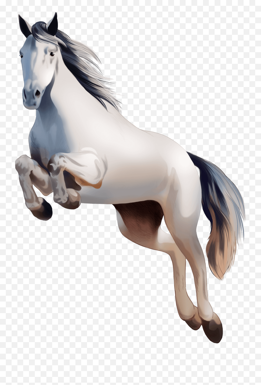 Irish Sport Horse Clipart Free Download Transparent Png - Animal Figure Emoji,Irish Emoji