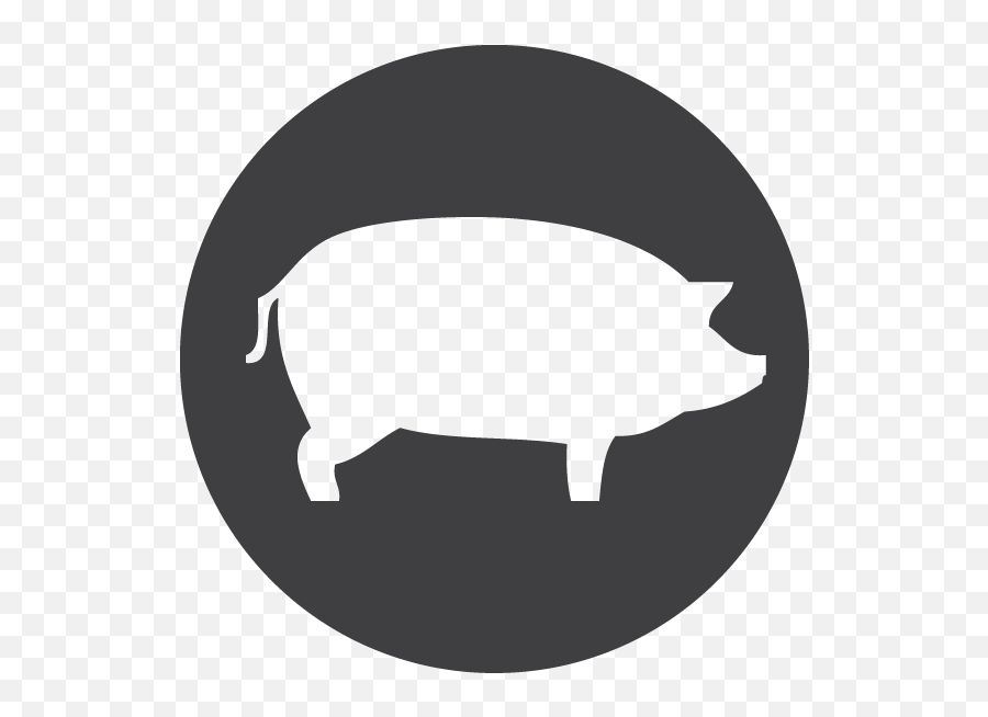 Download Bacon Domestic Farm Pig Piglet Pork Icon - Way Vector Pig Icon Png Emoji,Flying Pig Emoji