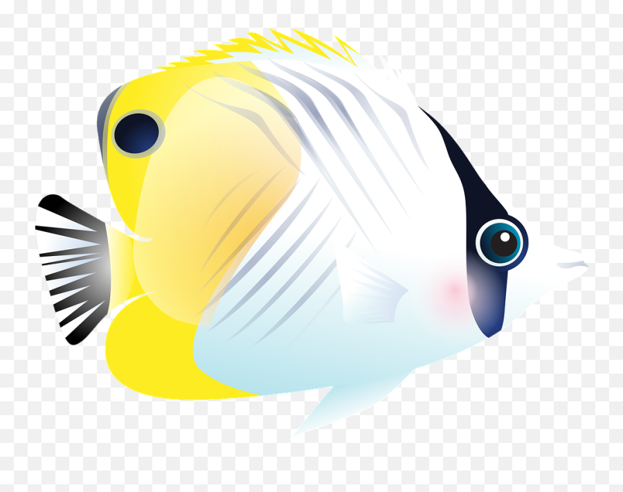 Free Tropical Fish Vectors - Tropical Fish Png Emoji,Raspberry Emoticon