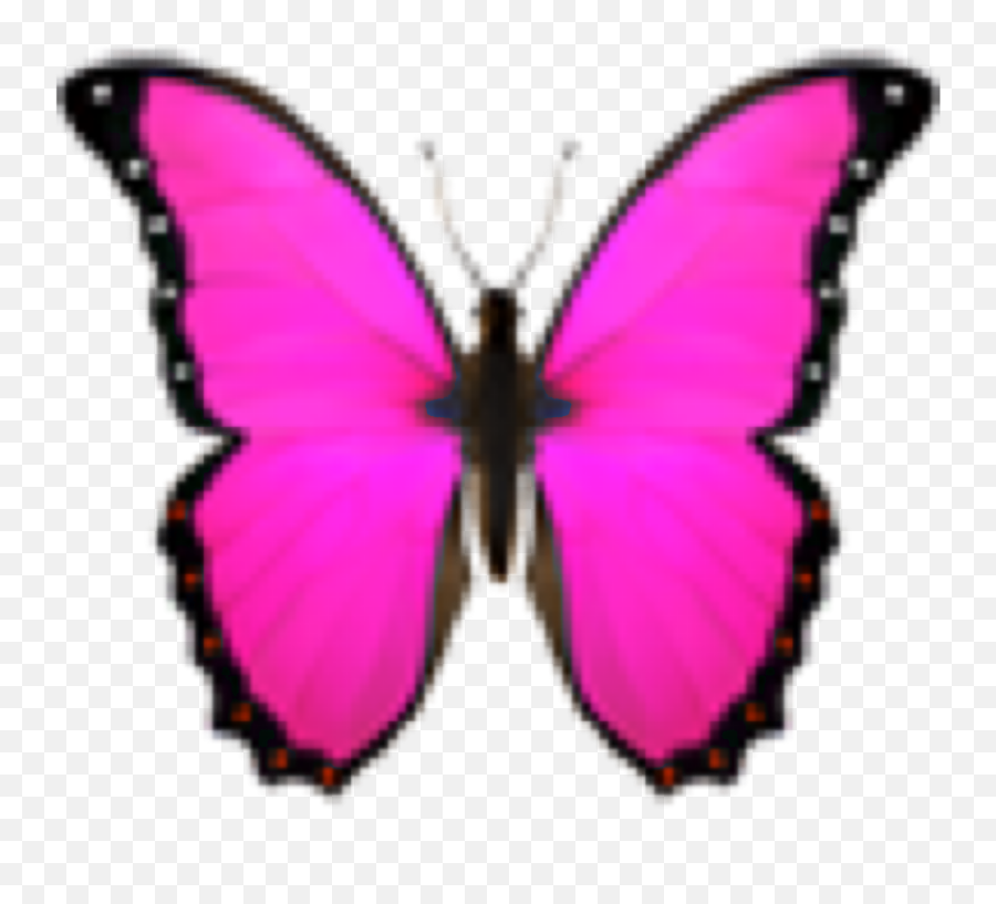 Butterfly Butterflyemoji Pink Pinkemo - Butterfly Emoji Transparent Background,Emoji Pink