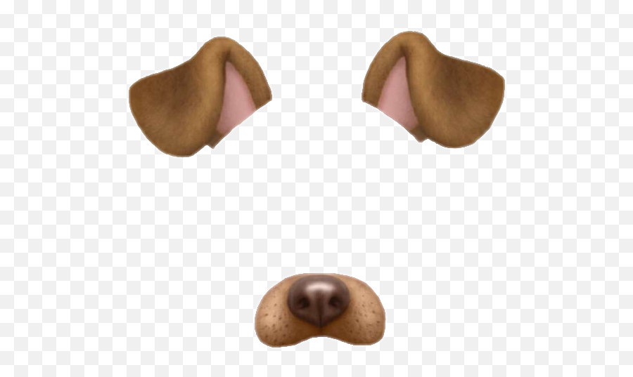Snapchat Perrito Corona Emoji Emojis Emojisticker Emoji - Dog Filter Snapchat,Snapchat Animal Emojis