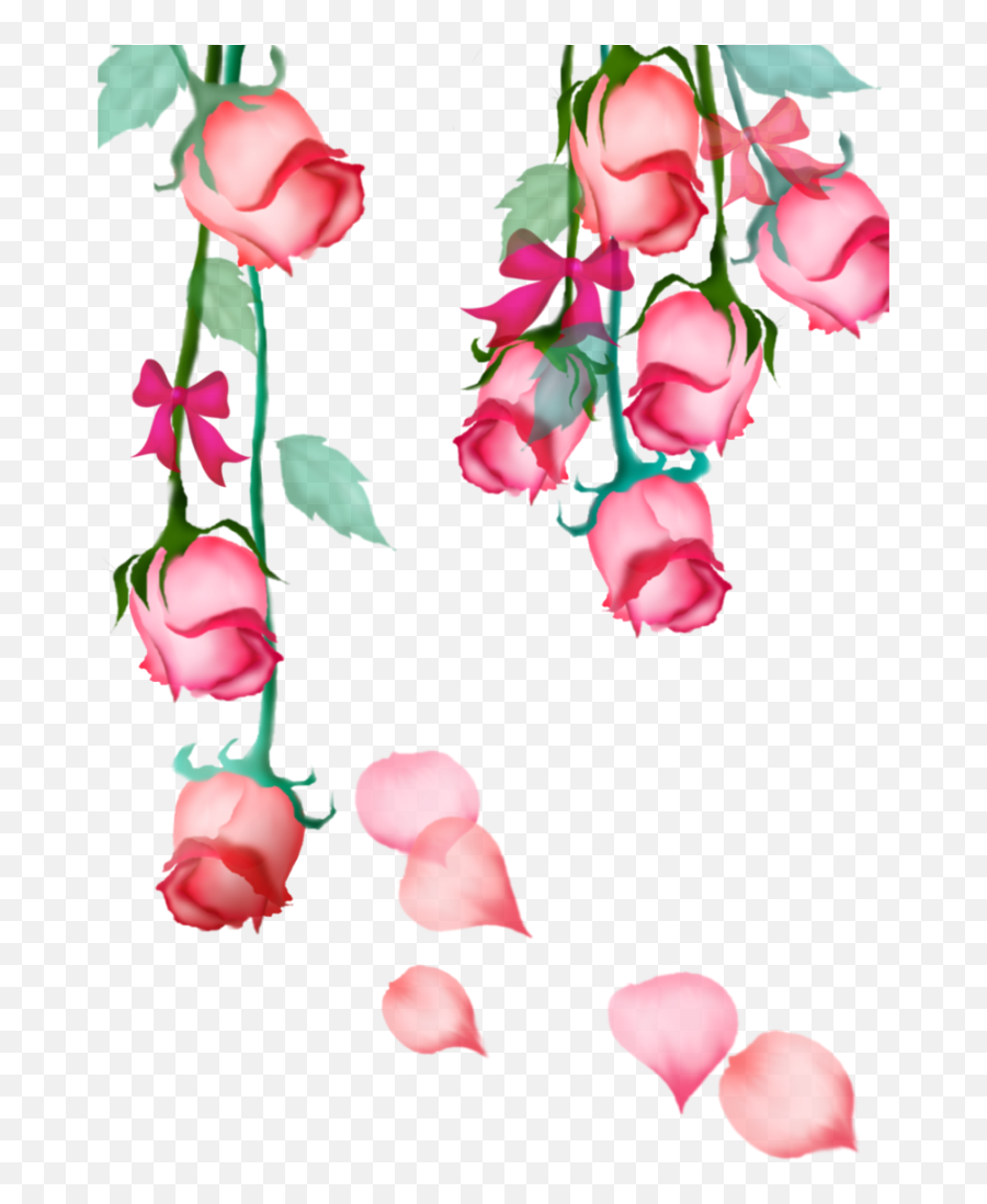 Mq Pink Rose Roses Hanging Bow Sticker By Marras - Hanging Flowers Hd Png Emoji,Pink Rose Emoji