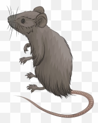 Mouse Clipart Free Download Transparent Png Creazilla - Mouse Clipart Emoji,Mice Emoji