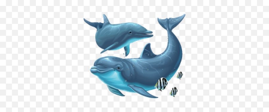 Dolphin Png And Vectors For Free Download - Dolphin Png Emoji,Dolphin Emoji