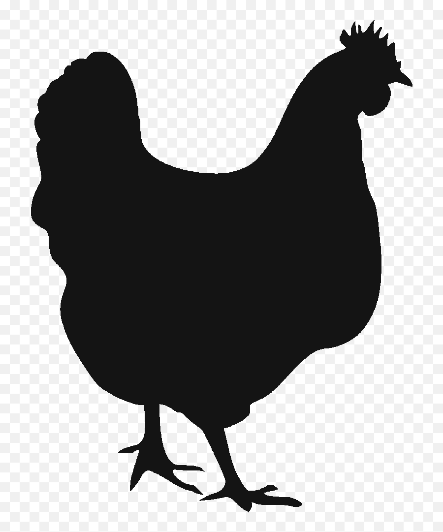 Vector Graphics Hen Rooster Clip Art - Chicken Vector Png Emoji,Hen Emoji